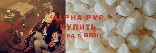 индика Аркадак