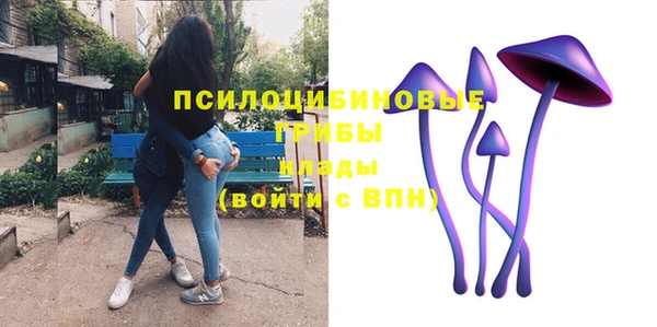 индика Аркадак