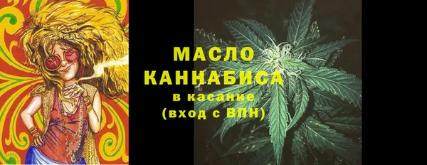 индика Аркадак