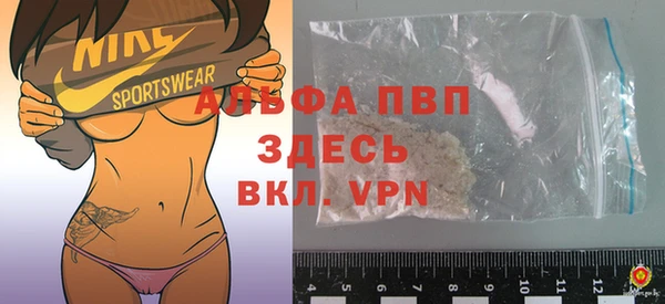 индика Аркадак