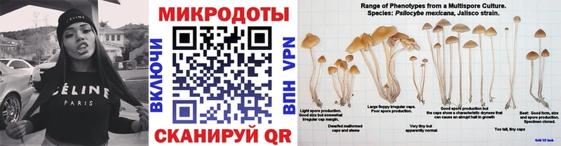 Псилоцибиновые грибы Psilocybine cubensis  закладки  Ахтубинск 